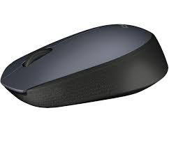 Mouse Logitech M170 910 004642