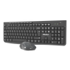 Combo Meetion Keyboard Mouse CW295