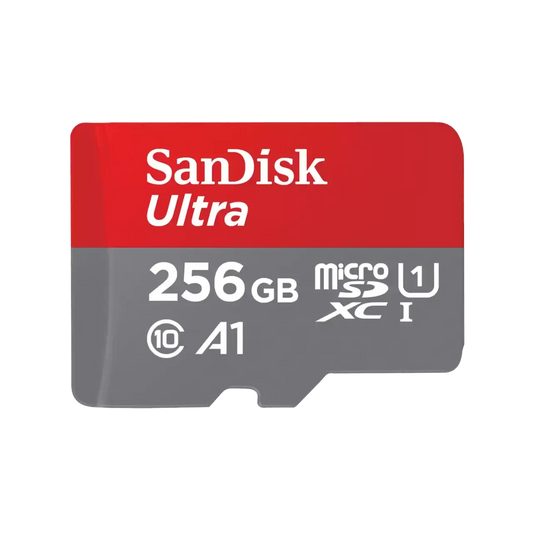 Memorycard SanDisk SDSQUAC GN6MN 256GB