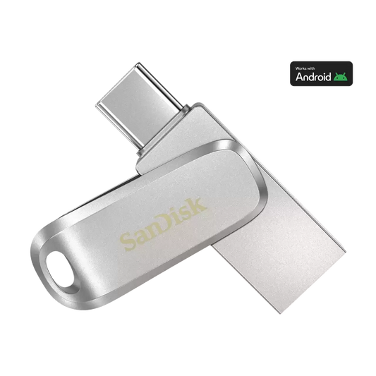 SanDisk-SDDDC4-256GB-G46