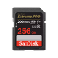 SanDisk-SDSDXXD-GN4IN-256GB