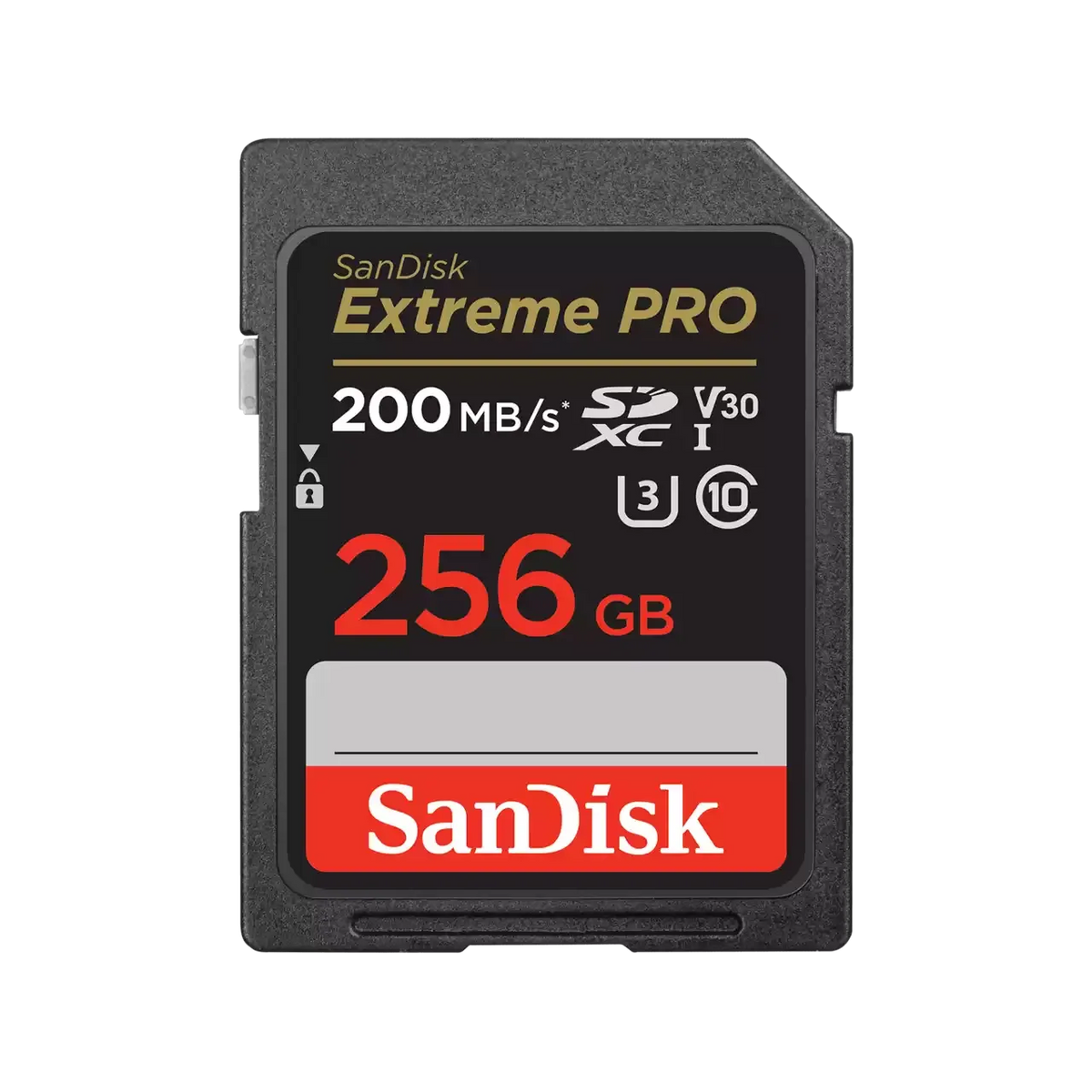 SanDisk-SDSDXXD-GN4IN-256GB