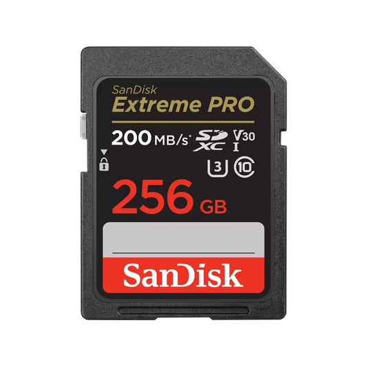 SanDisk-SDSDXXD-GN4IN-256GB