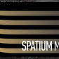 SSD MSI SPATIUM M480PRO NVMe M.2 1Tb