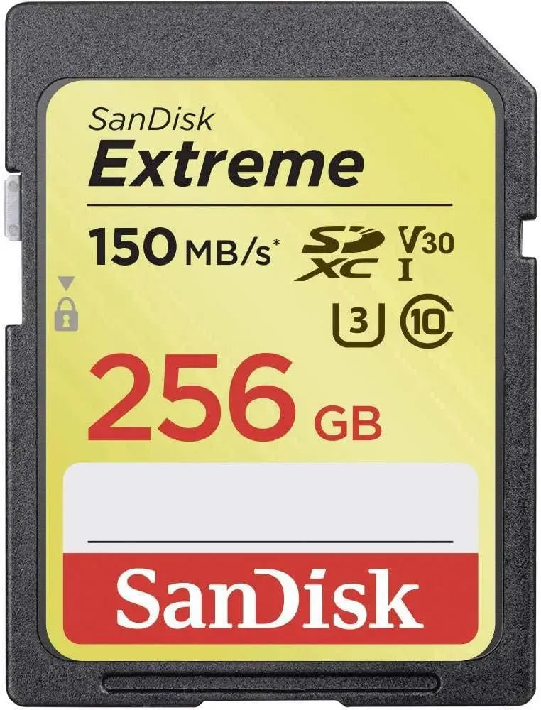 SanDisk SDSDXV5 256GB GNCIN