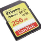 SanDisk SDSDXV5 256GB GNCIN