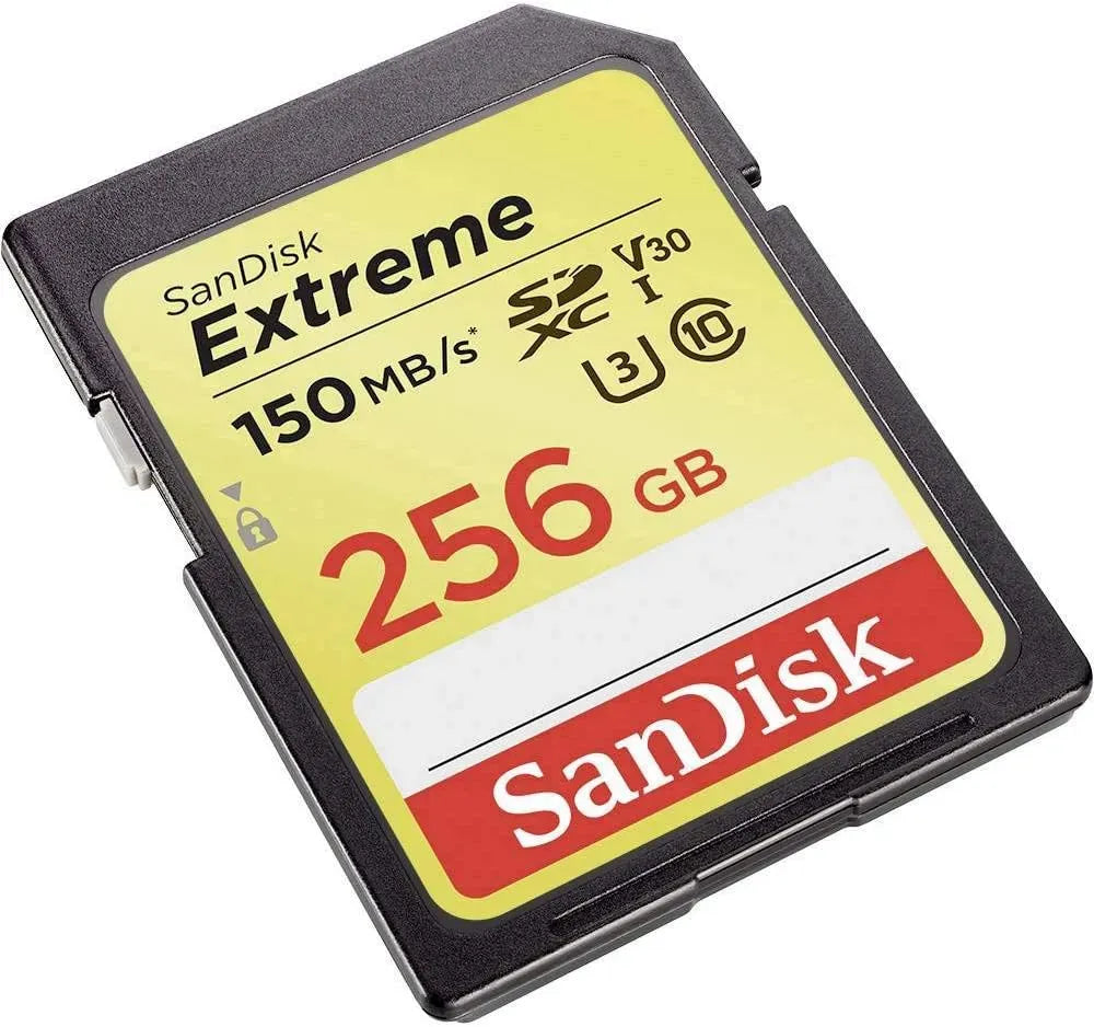 SanDisk SDSDXV5 256GB GNCIN