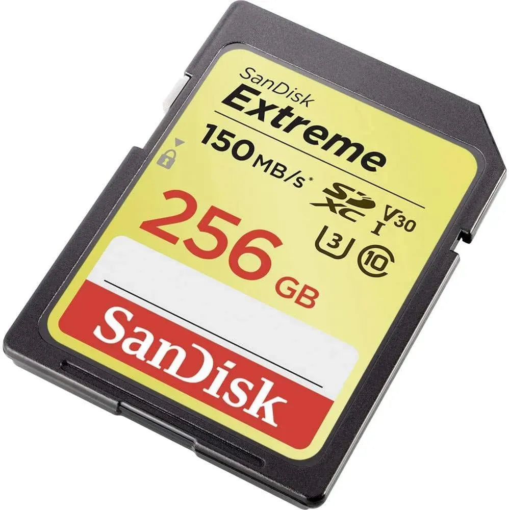 SanDisk SDSDXV5 256GB GNCIN